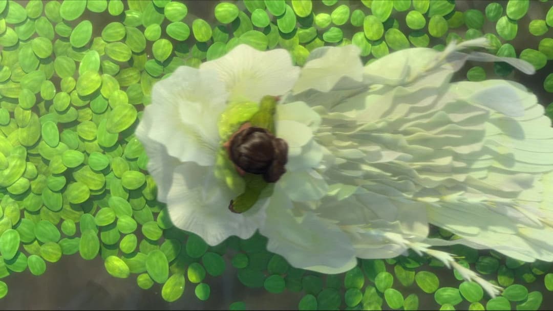 Епік backdrop 18