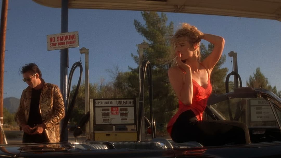 Wild at Heart backdrop 4