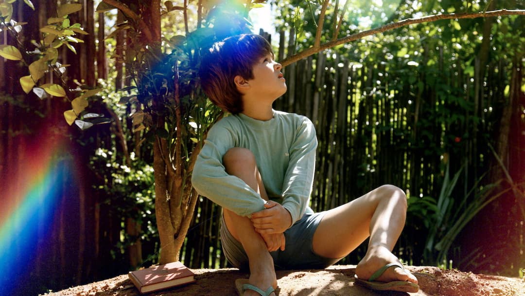 Meu Pé de Laranja Lima backdrop 8