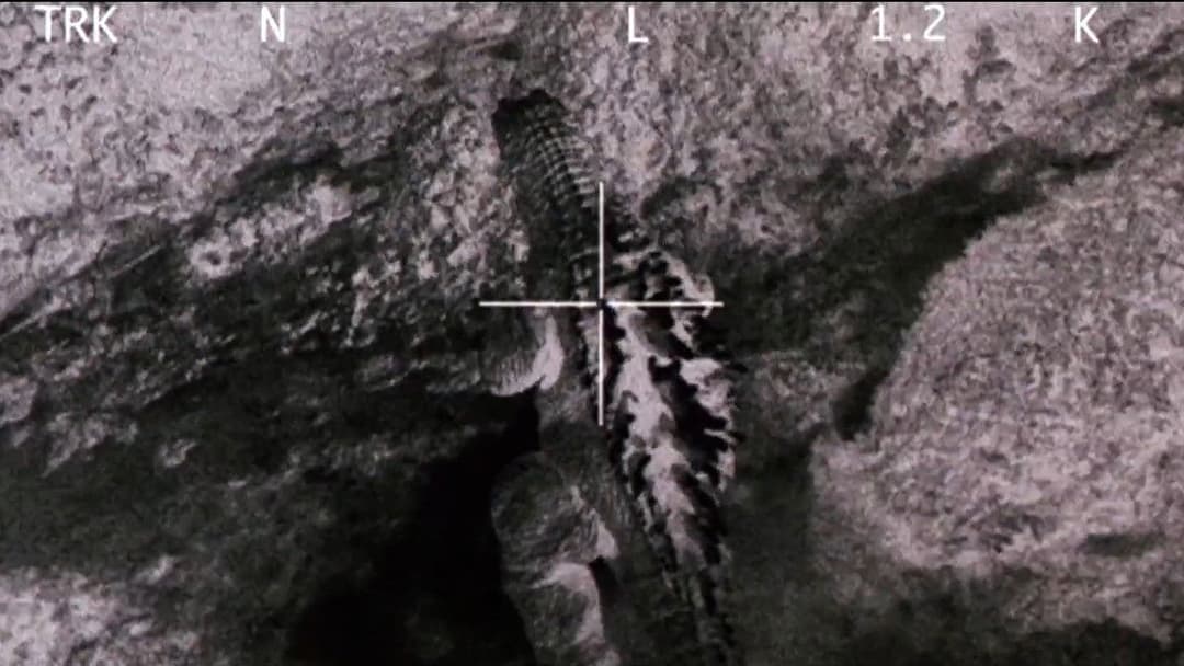 Godzilla, Mothra and King Ghidorah: Giant Monsters All-Out Attack backdrop 10