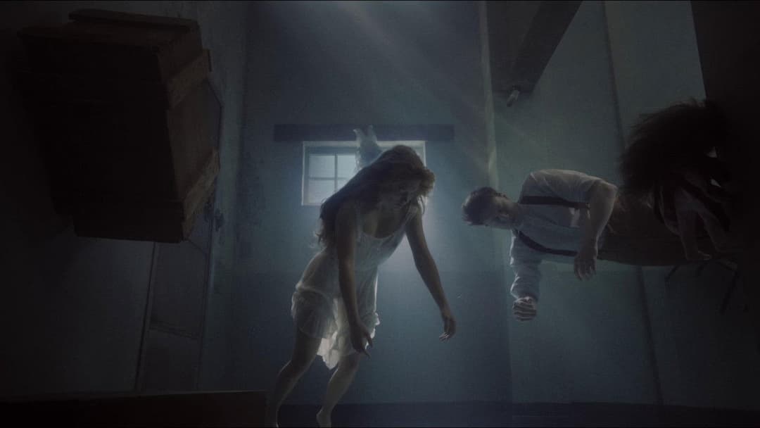 Звір backdrop 10