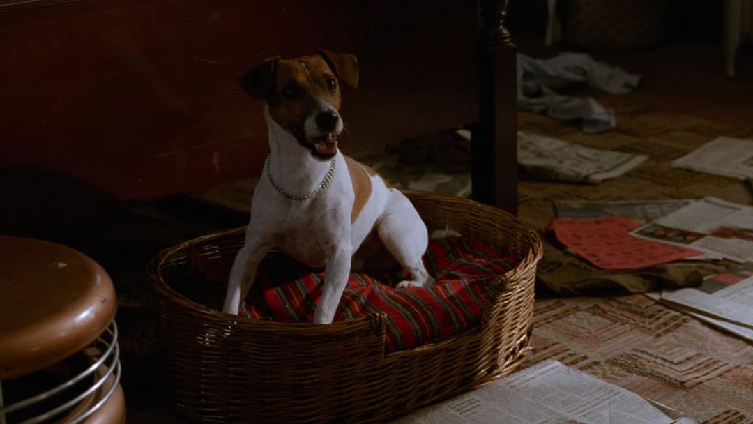 The Mask backdrop 18