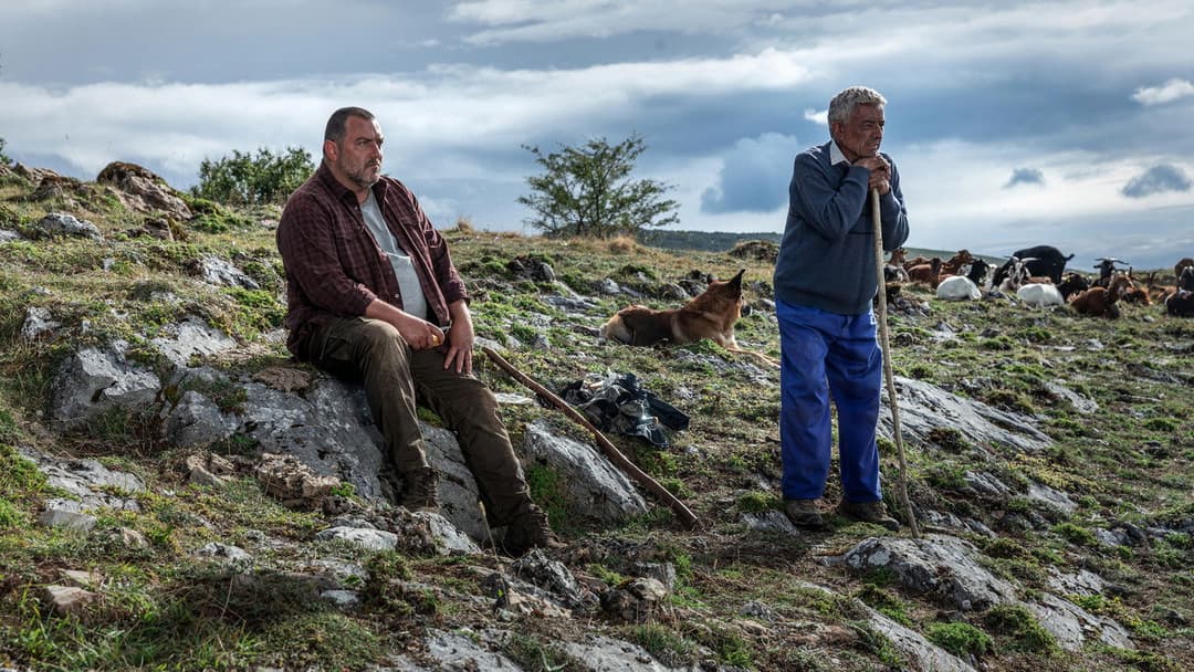 Wie wilde Tiere backdrop 4