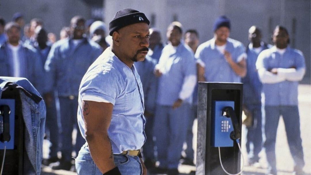 Undisputed backdrop 5