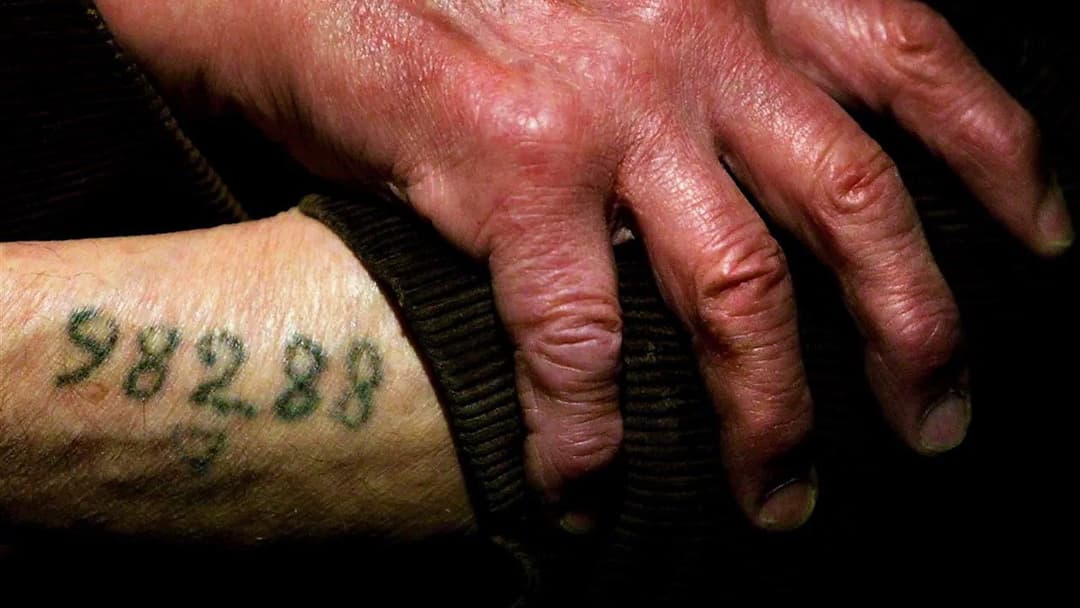 Night Will Fall - Hitchcocks Lehrfilm backdrop 2