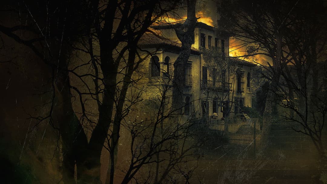 Voces - Die Stimmen backdrop 3