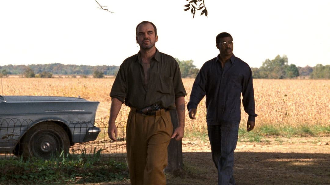 Один хибний хід backdrop 8