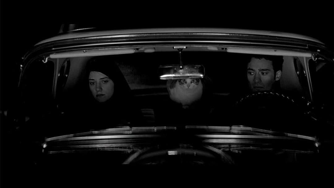 A Girl Walks Home Alone at Night backdrop 16