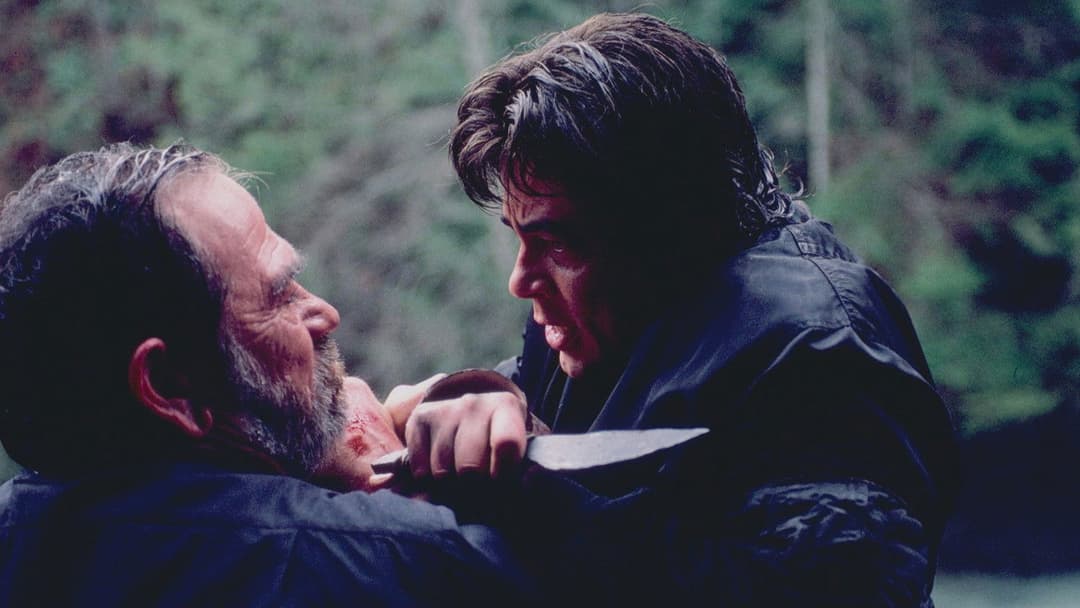 Загнаний backdrop 14