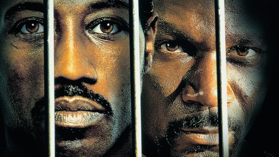 Undisputed backdrop 4