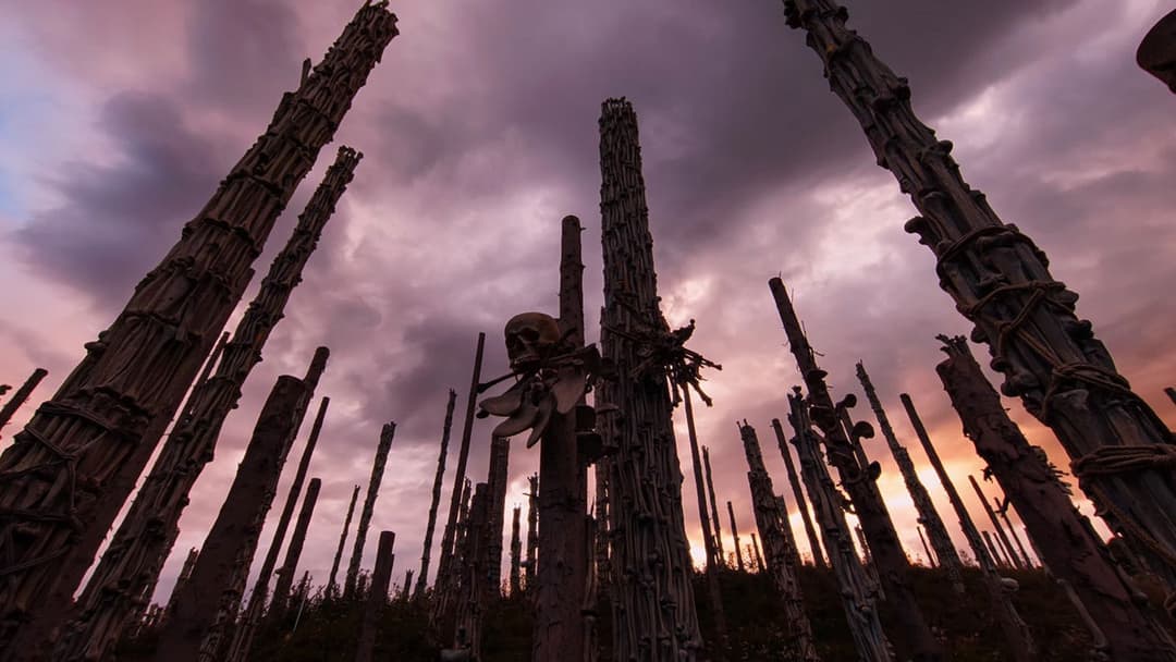 28 Years Later: The Bone Temple backdrop 14