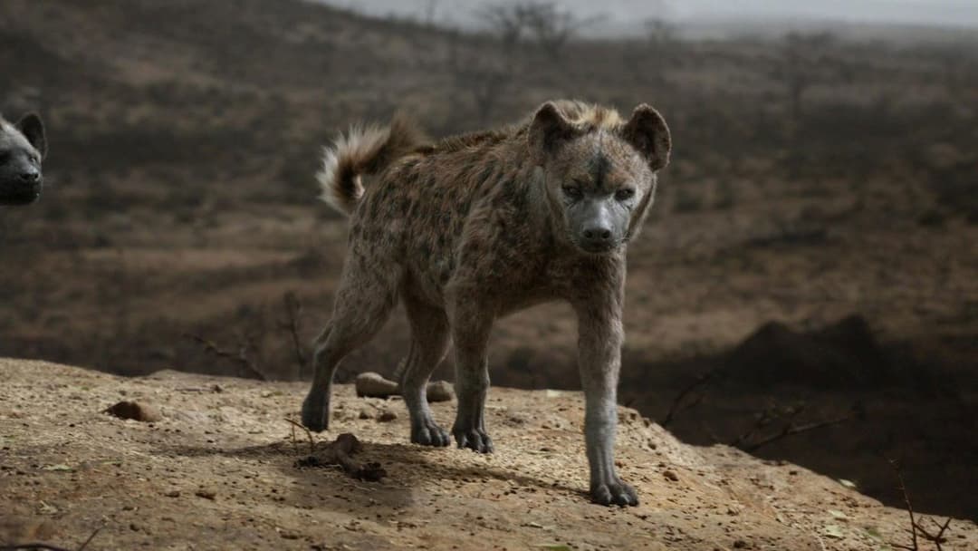 The Lion King backdrop 16