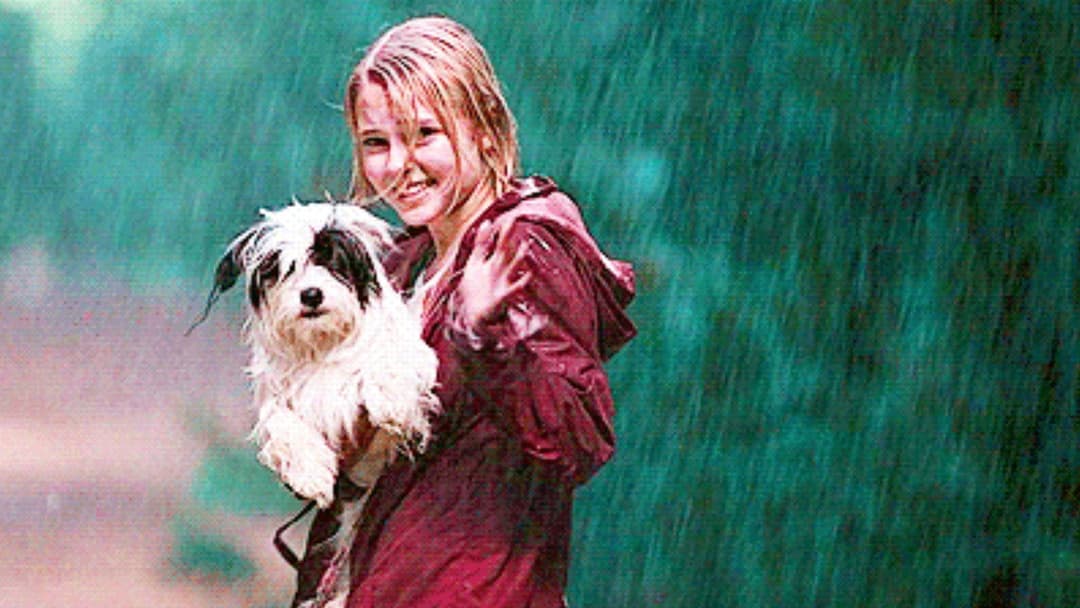 Bridge to Terabithia backdrop 6