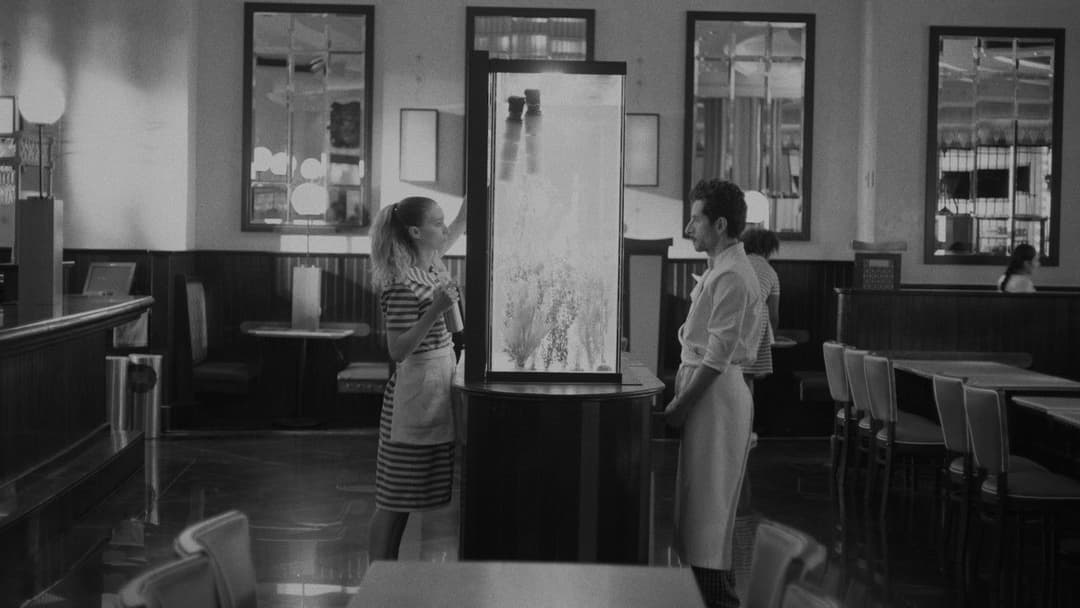 La Cocina - Der Geschmack des Lebens backdrop 11