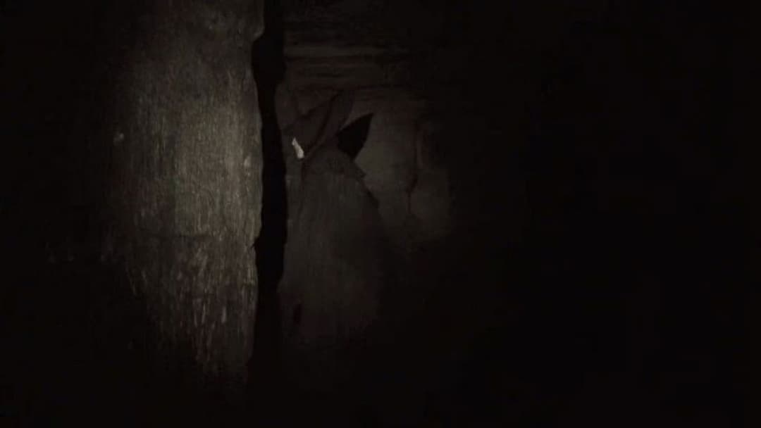 Париж. Місто мертвих backdrop 14