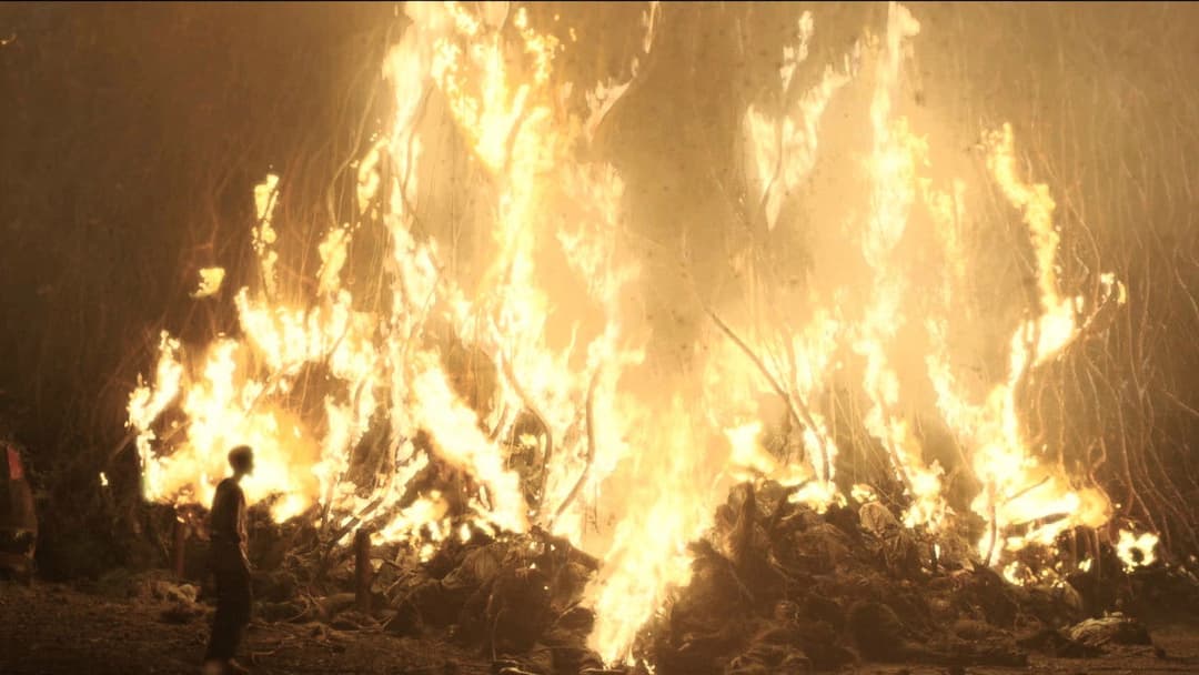 Нова ера Z backdrop 3