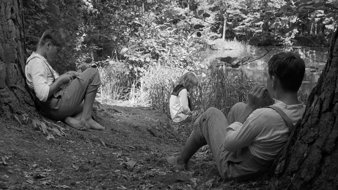 Das weiße Band - Eine deutsche Kindergeschichte backdrop 13