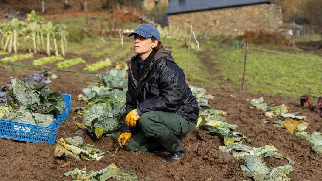 Wie wilde Tiere backdrop 9