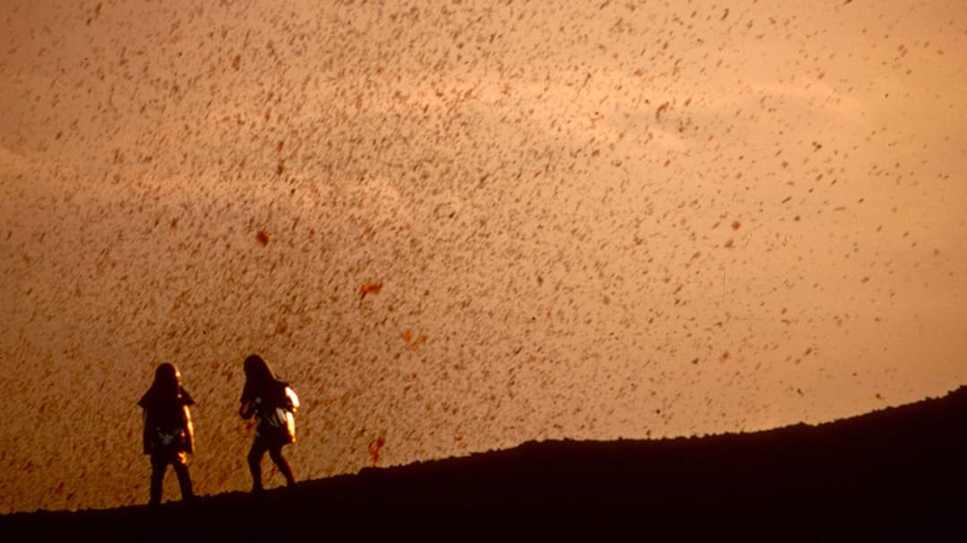 Fire of Love backdrop 18