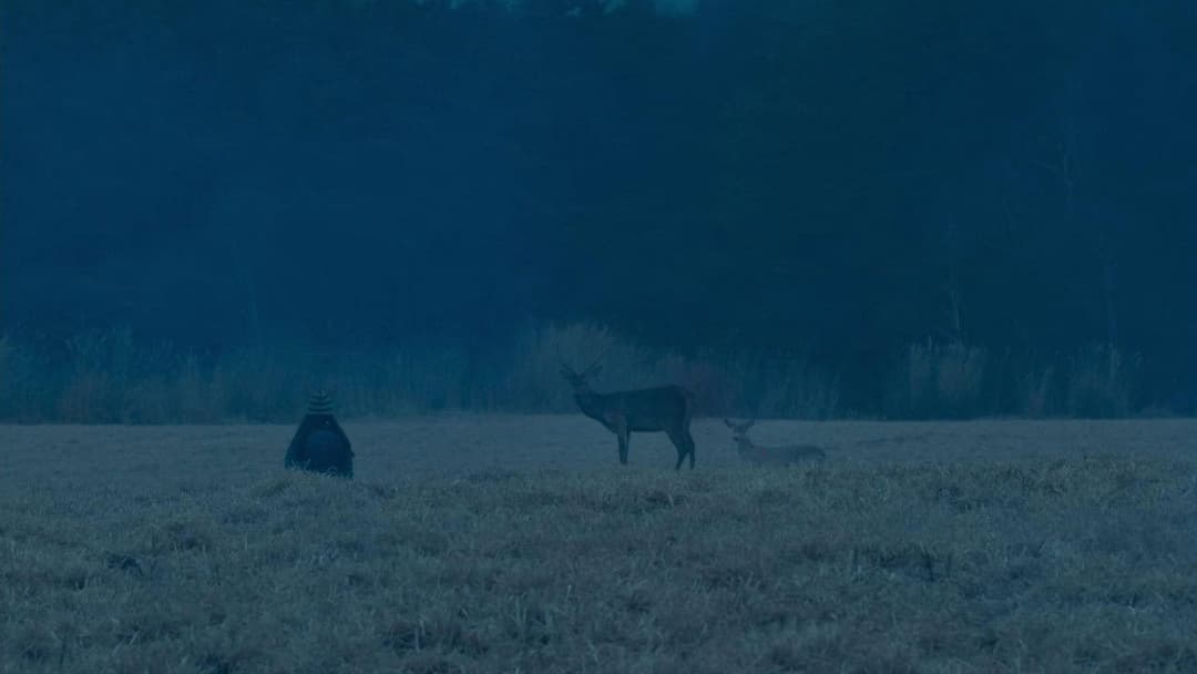 Зла не існує backdrop 9