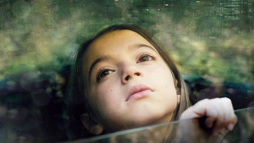 20,000 Species of Bees backdrop 6