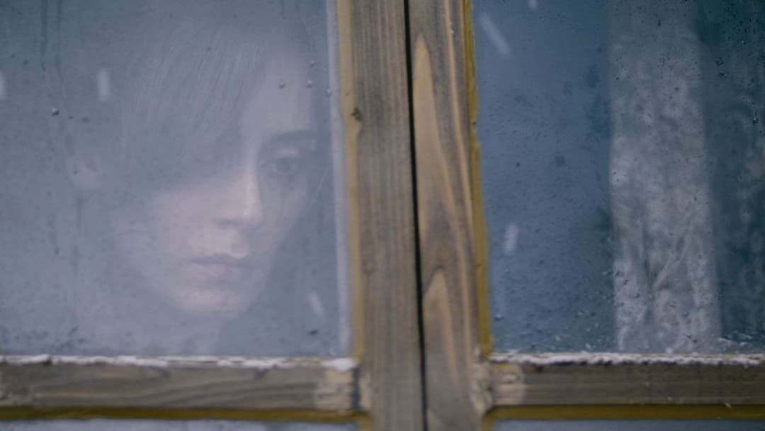 Winter Sleep backdrop 9