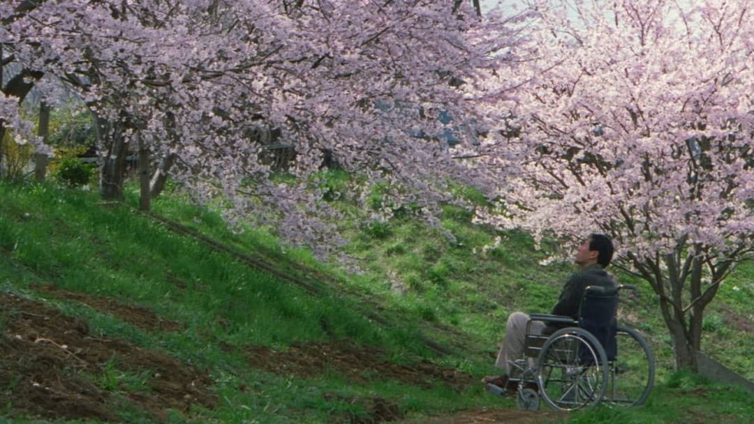 Hana-bi - Feuerblume backdrop 14