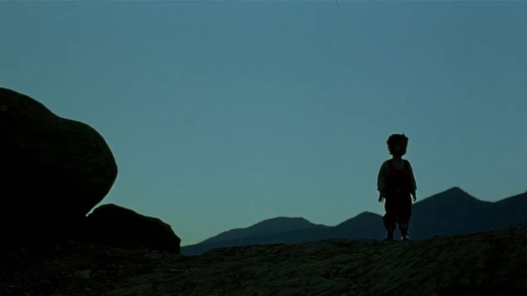 Turtles Can Fly backdrop 4