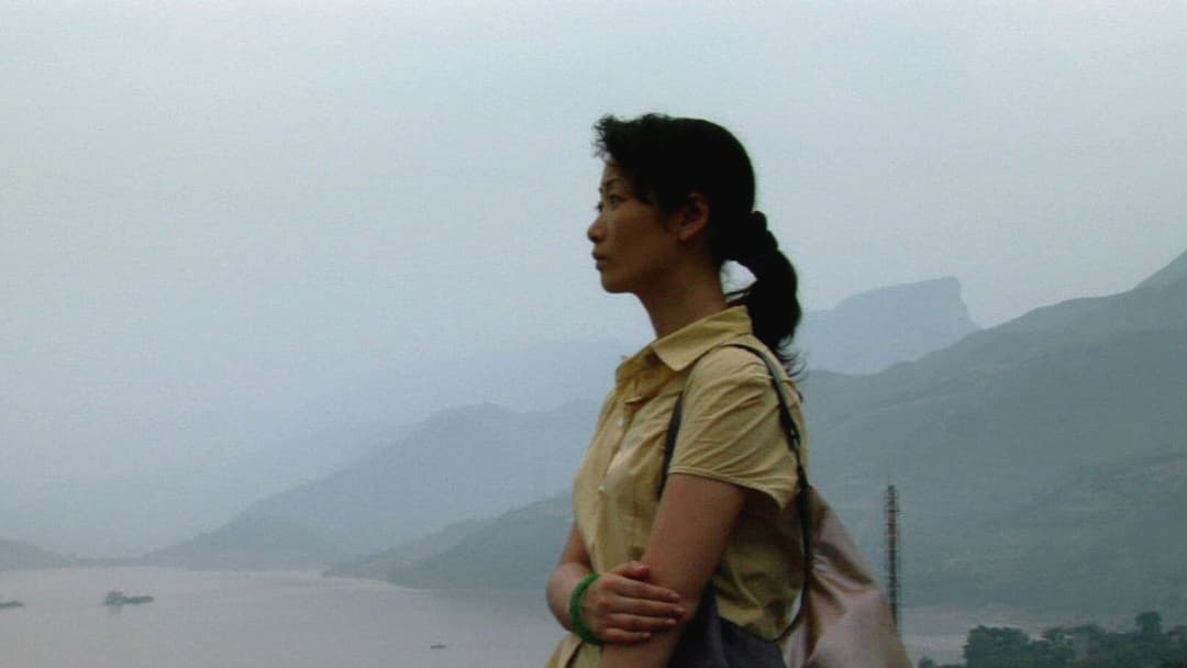 Still Life backdrop 11