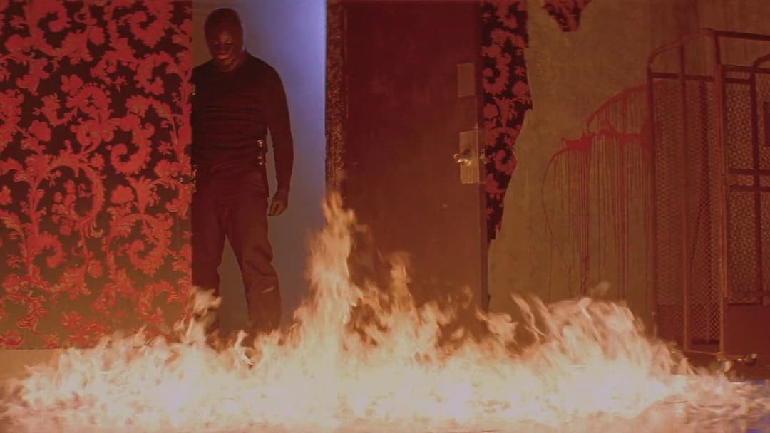 The Collection backdrop 3