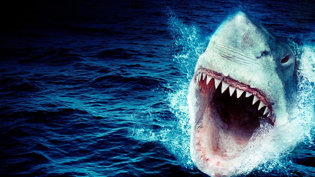 The Reef - Schwimm um dein Leben backdrop 8