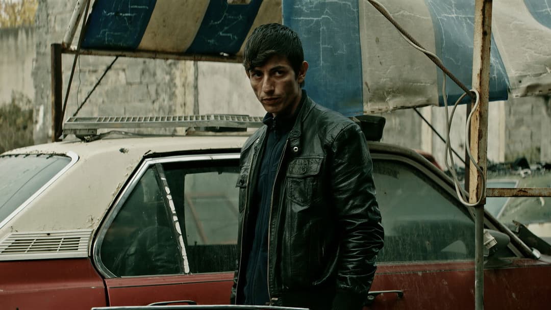 Ölü Köpekler Isırmaz backdrop 3