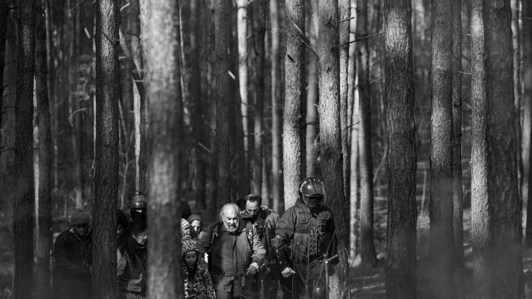 Зелений кордон backdrop 8