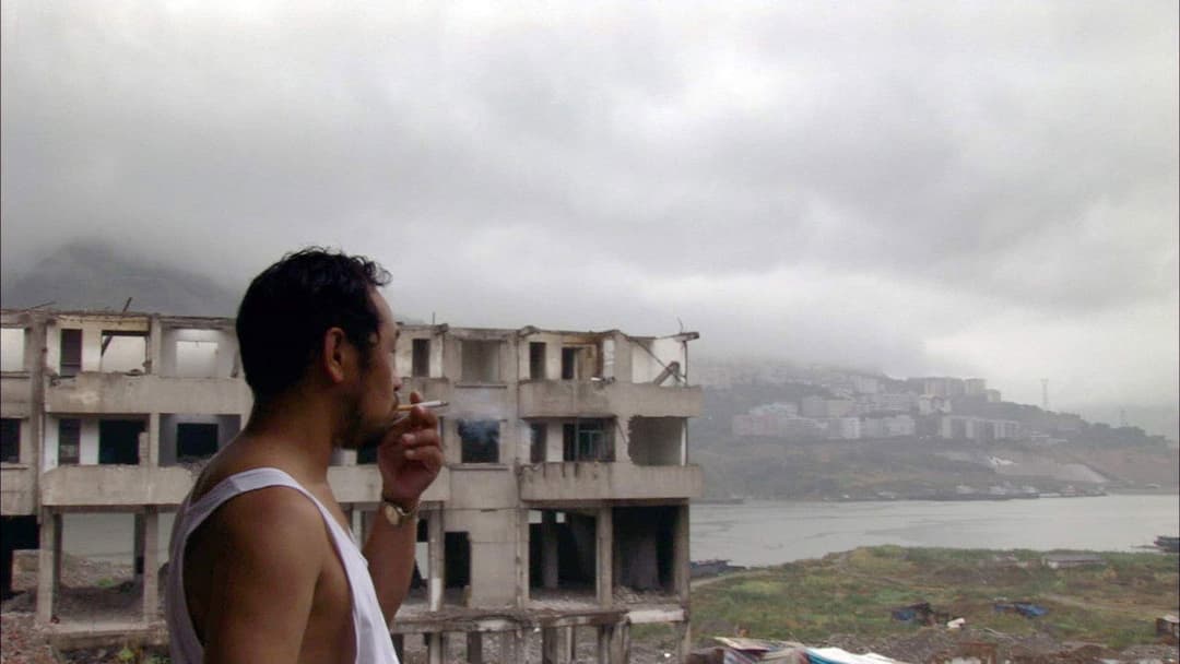 Still Life backdrop 12