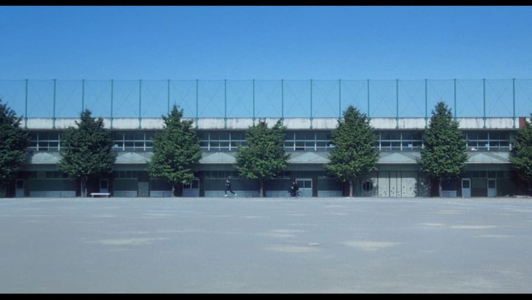 Kids Return backdrop 8