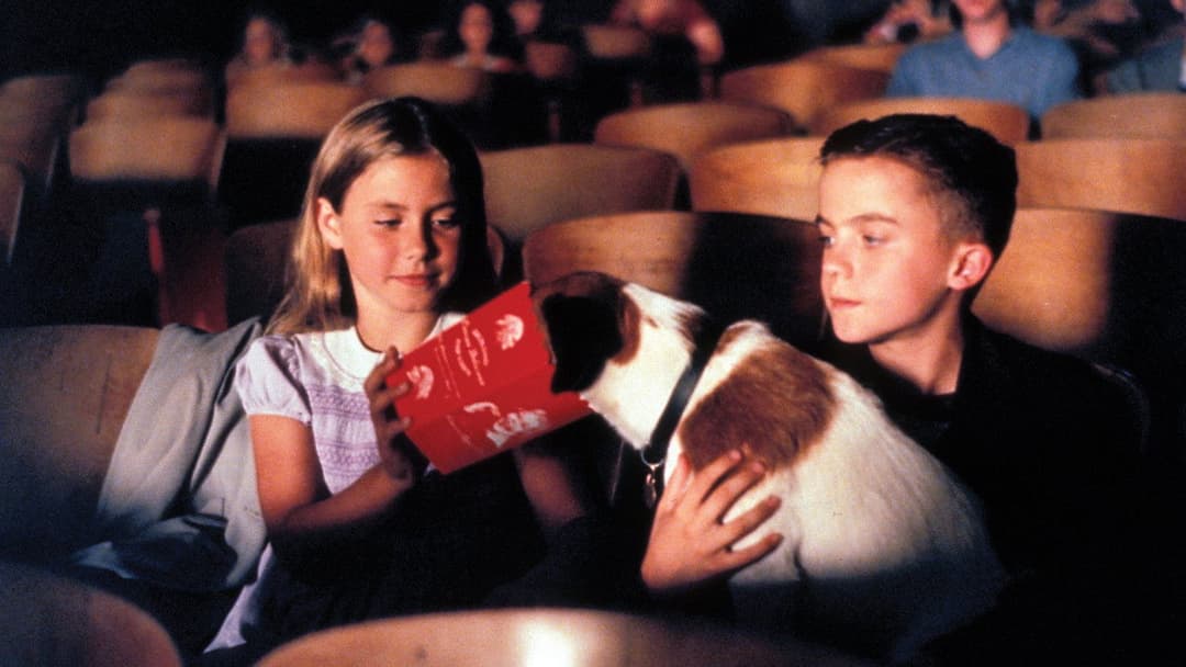 My Dog Skip backdrop 5