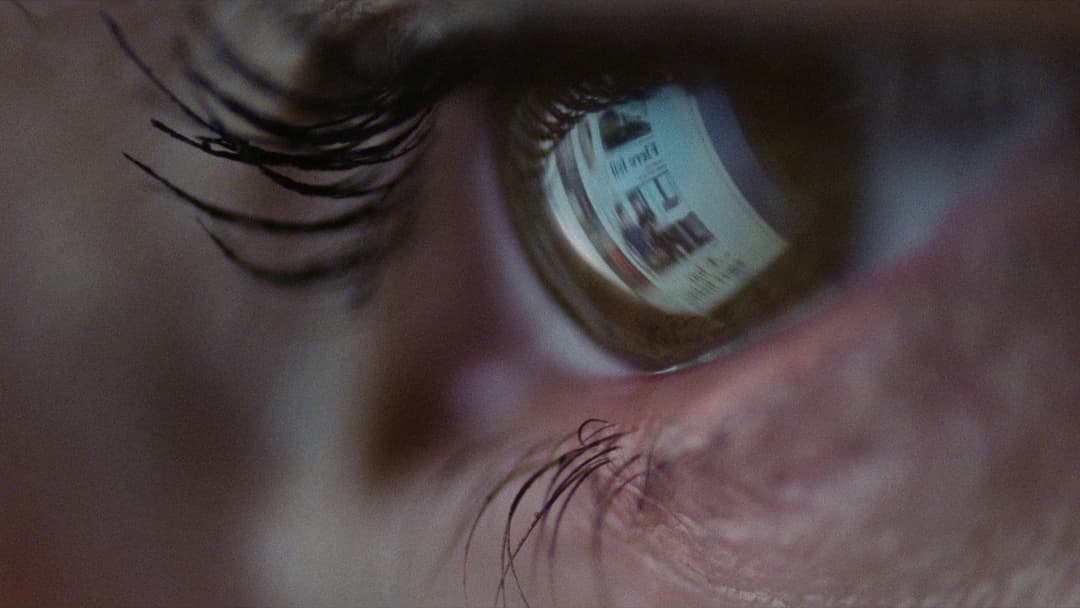 Der schlimmste Mensch der Welt backdrop 15