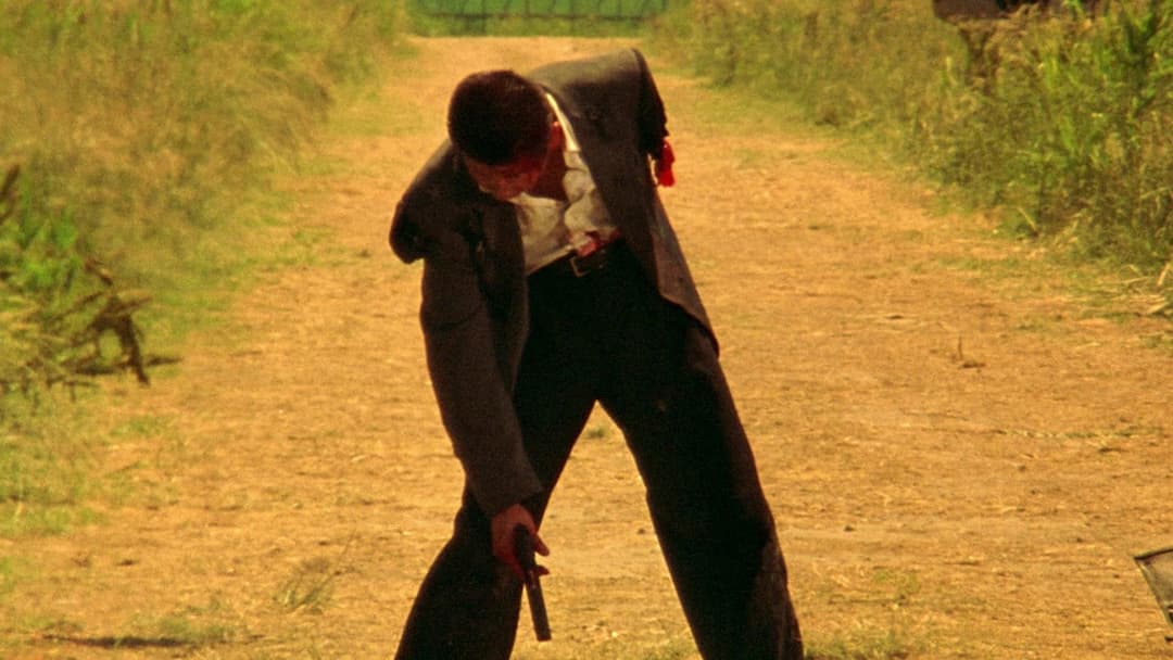 Dead or Alive backdrop 15