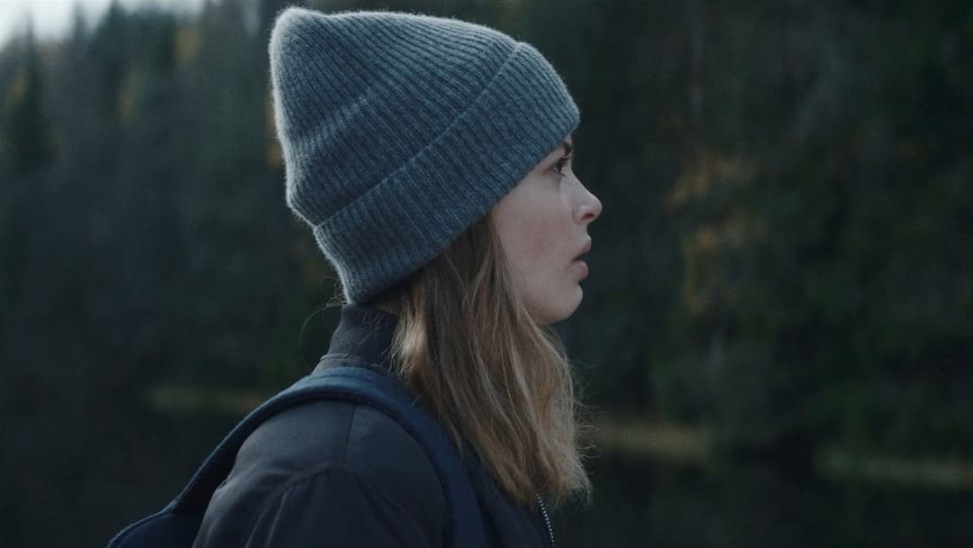 Viking Wolf backdrop 8