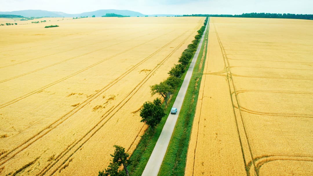 Goodbye Berlin backdrop 1