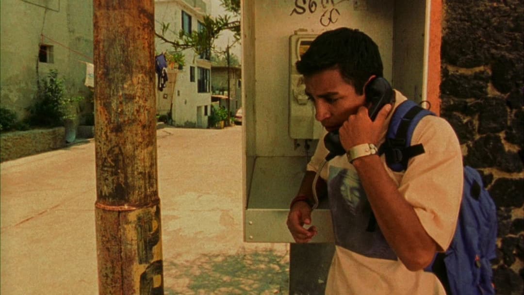 Love Hurts backdrop 8