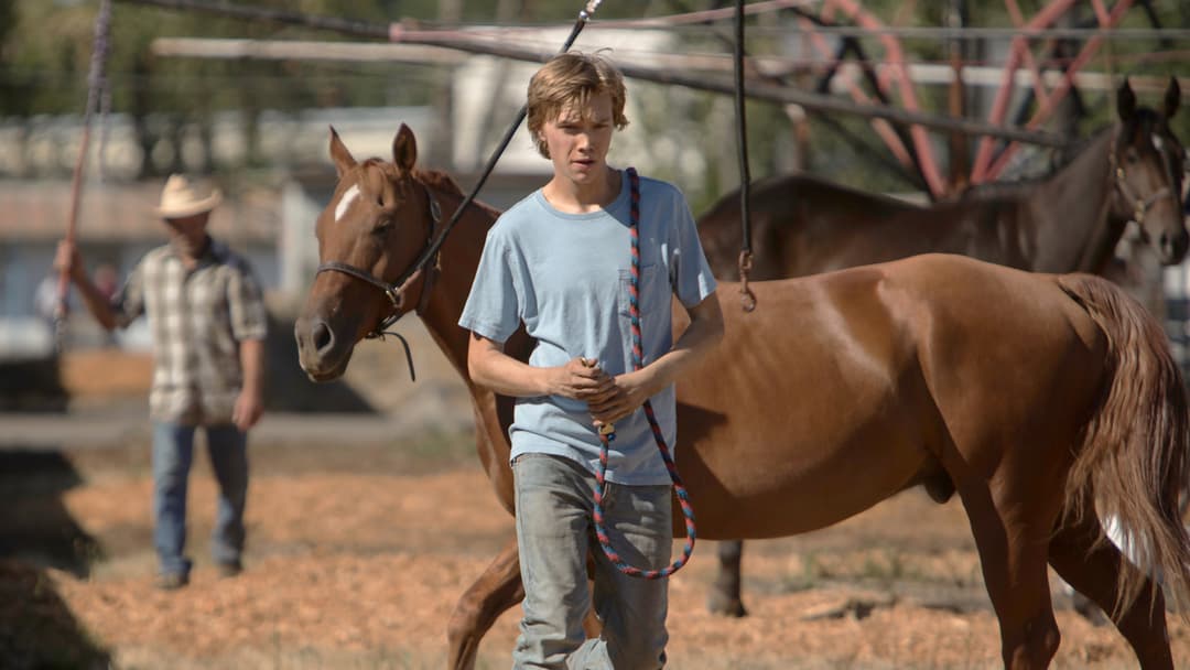 Lean on Pete backdrop 2