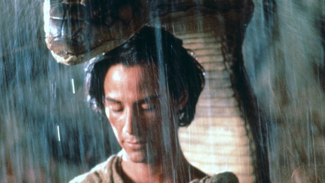 Little Buddha backdrop 7