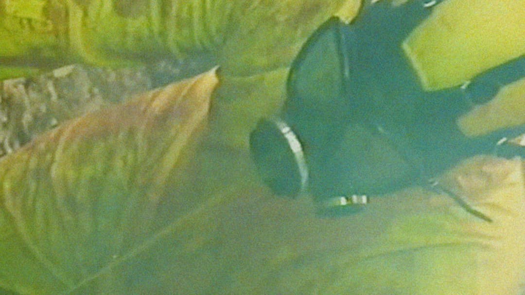 Bonkey: The Mutated backdrop 6