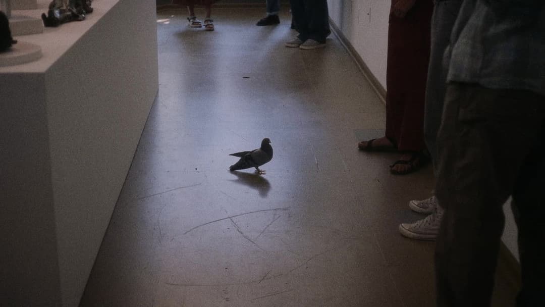 Поява backdrop 18