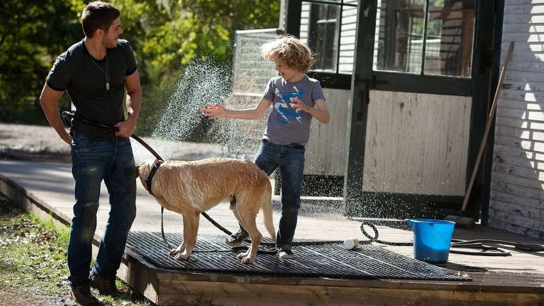 The Lucky One - Für immer der Deine backdrop 20
