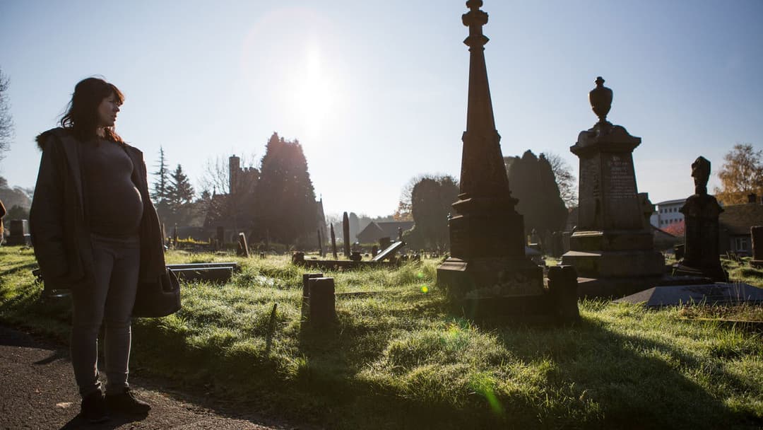 Припомства backdrop 6