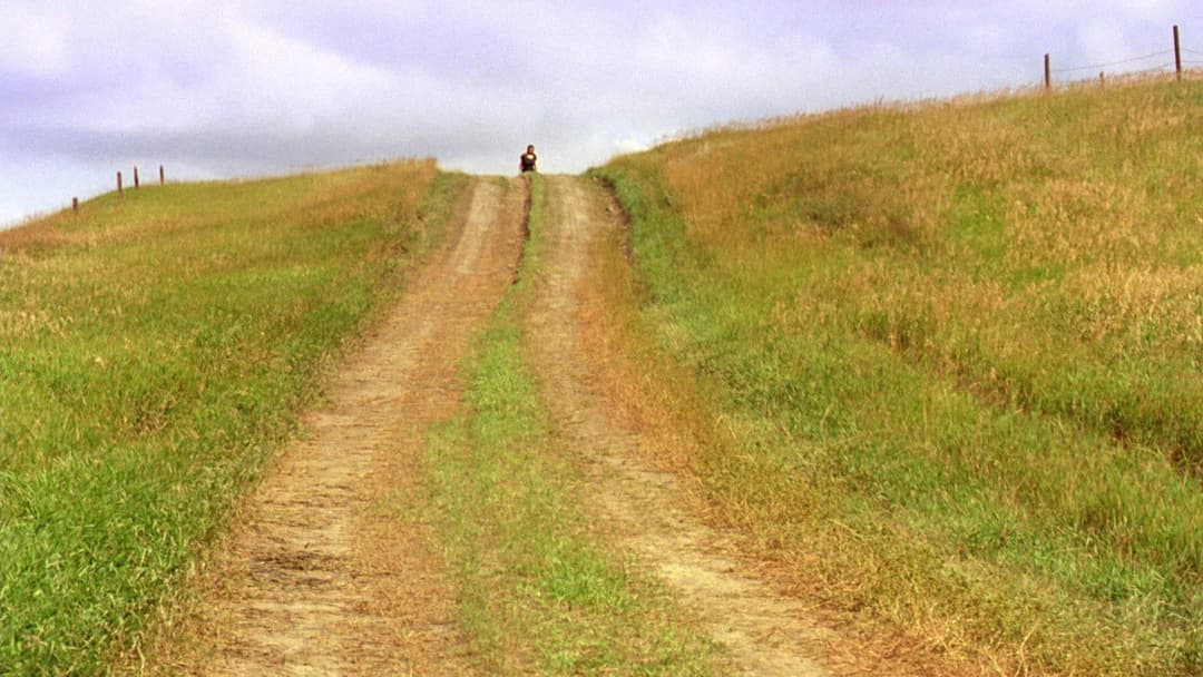 The Reflecting Skin backdrop 2