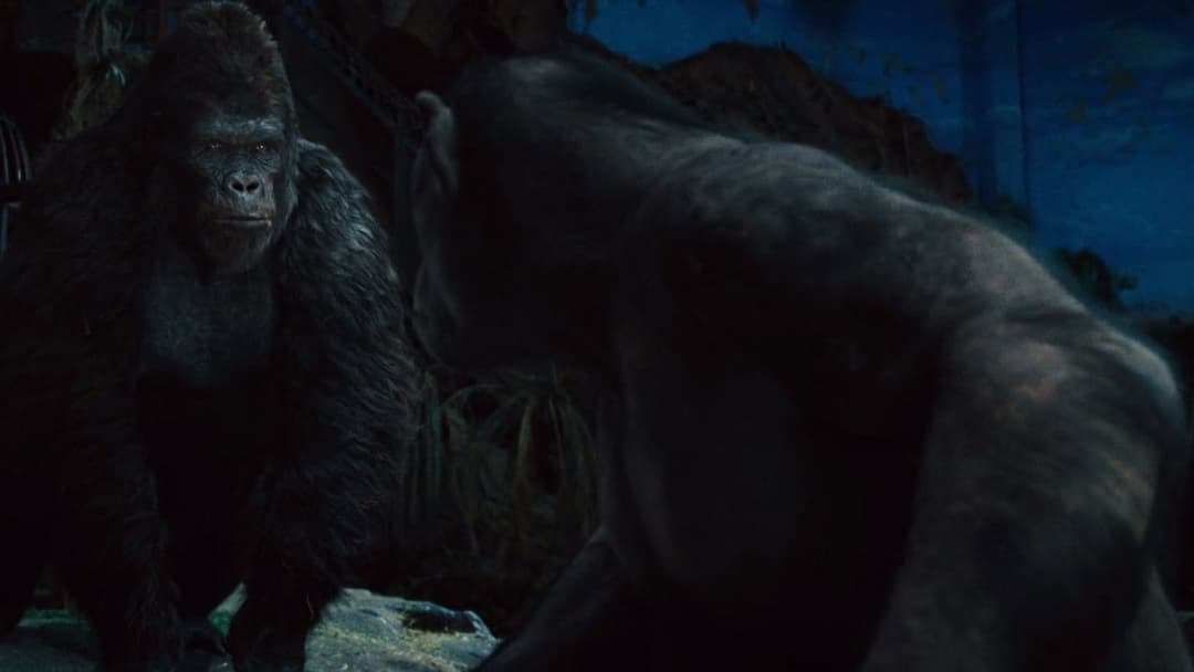 Rise of the Planet of the Apes backdrop 8