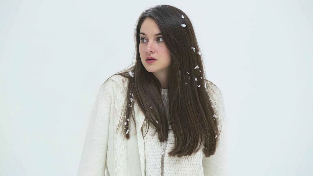 Білий птах у хуртовині backdrop 1